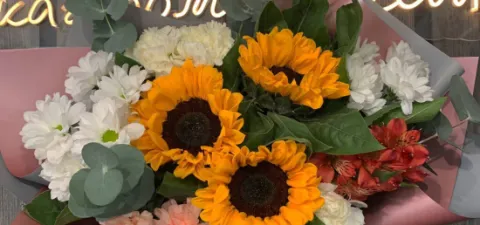 Сезонные цветы