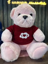 Мягкая игрушка «Мишутка» от интернет-магазина «» в 