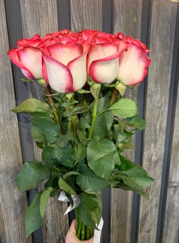 Монобукет 7 роз «Полома» от интернет-магазина цветов в 