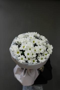 Ромашки
